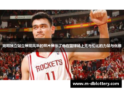 姚明独立站立展现风采的照片展示了他在篮球场上无与伦比的力量与优雅