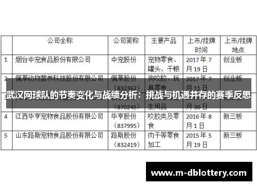 武汉网球队的节奏变化与战绩分析：挑战与机遇并存的赛季反思