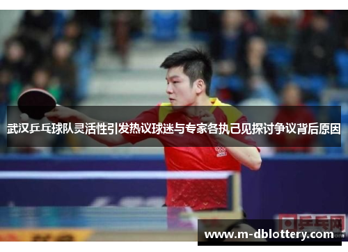 武汉乒乓球队灵活性引发热议球迷与专家各执己见探讨争议背后原因