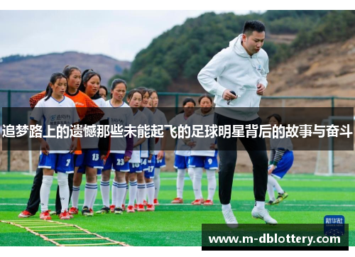 追梦路上的遗憾那些未能起飞的足球明星背后的故事与奋斗