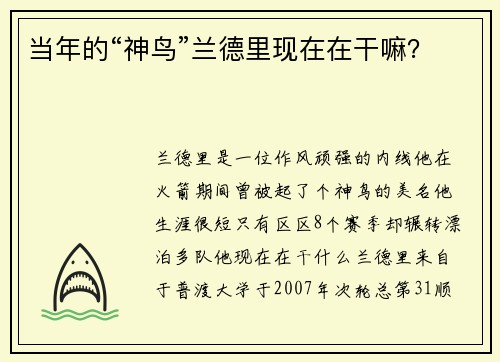 当年的“神鸟”兰德里现在在干嘛？